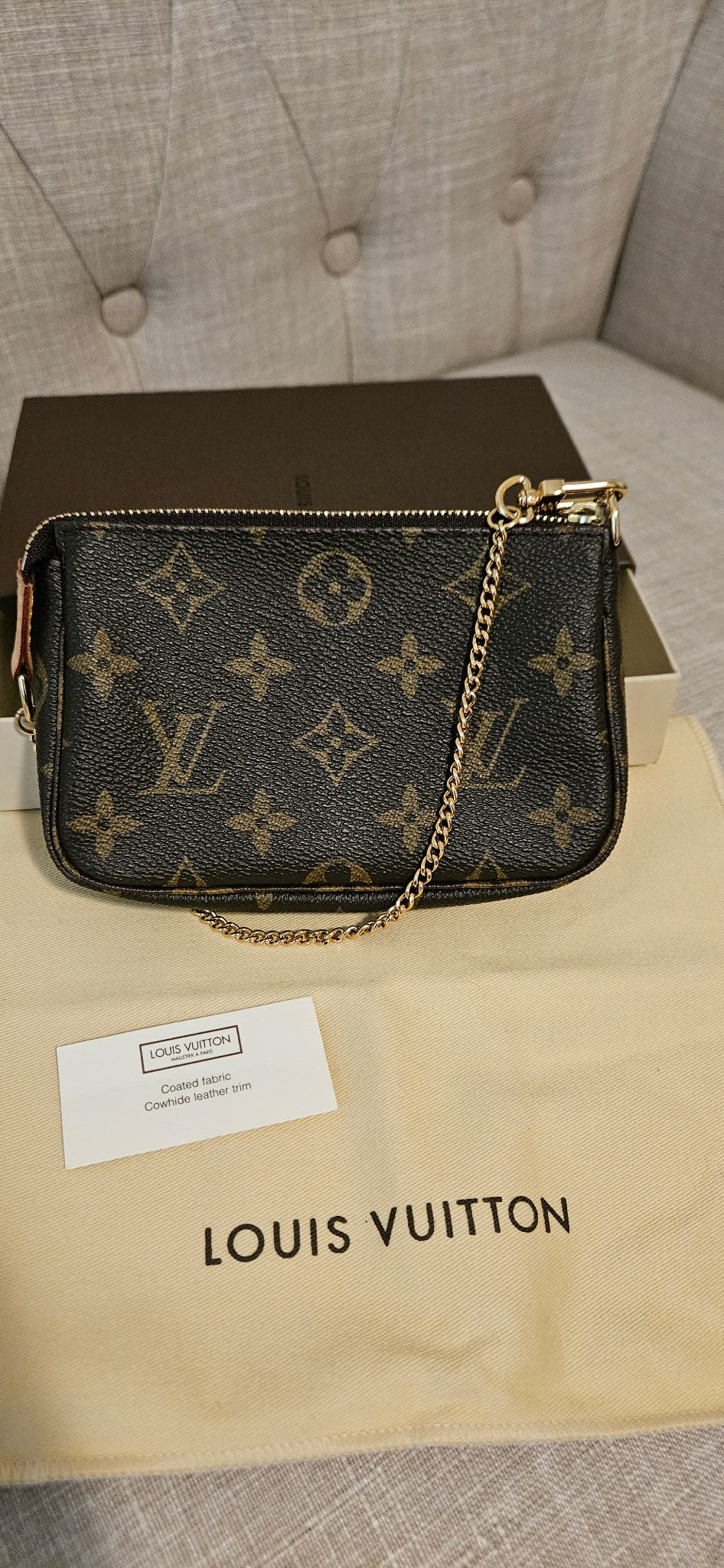 Louis Vuitton Mini Pochette Accessoires Monogram Canvas Gold Chain Pouch