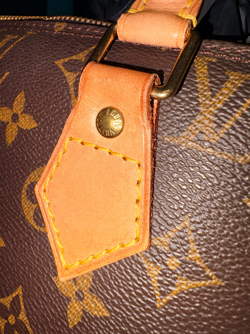 Louis Vuitton Monogram Alma MM