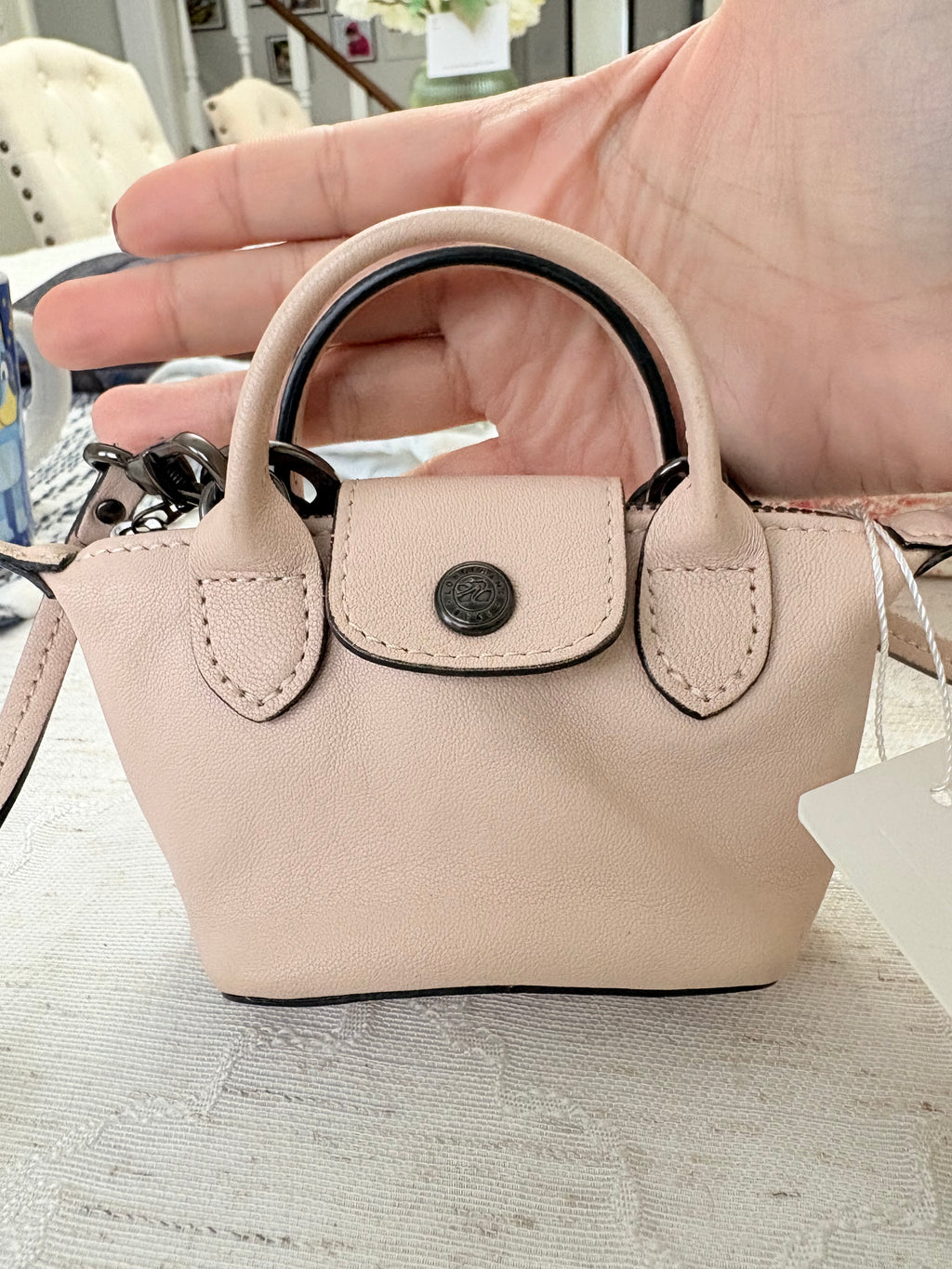 Longchamp Nano Crossbody Bag