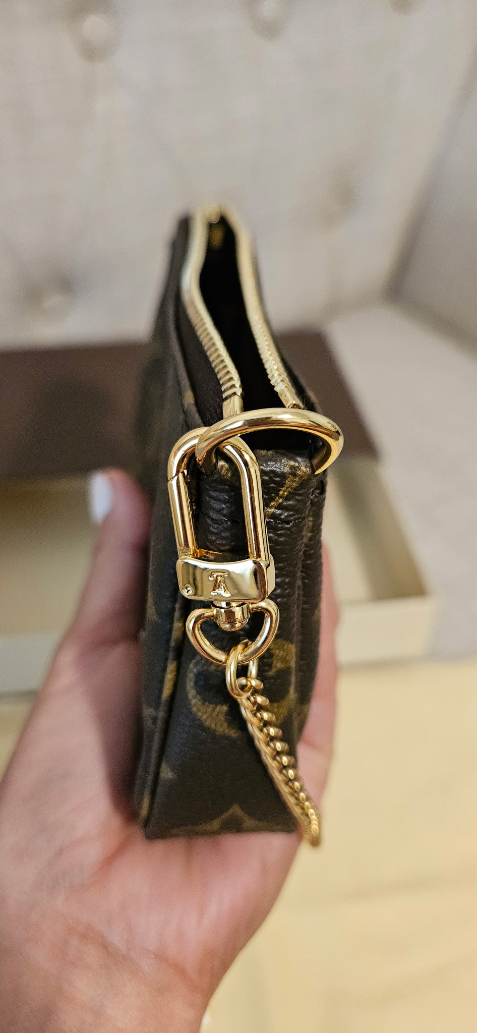 Louis Vuitton Mini Pochette Accessoires Monogram Canvas Gold Chain Pouch