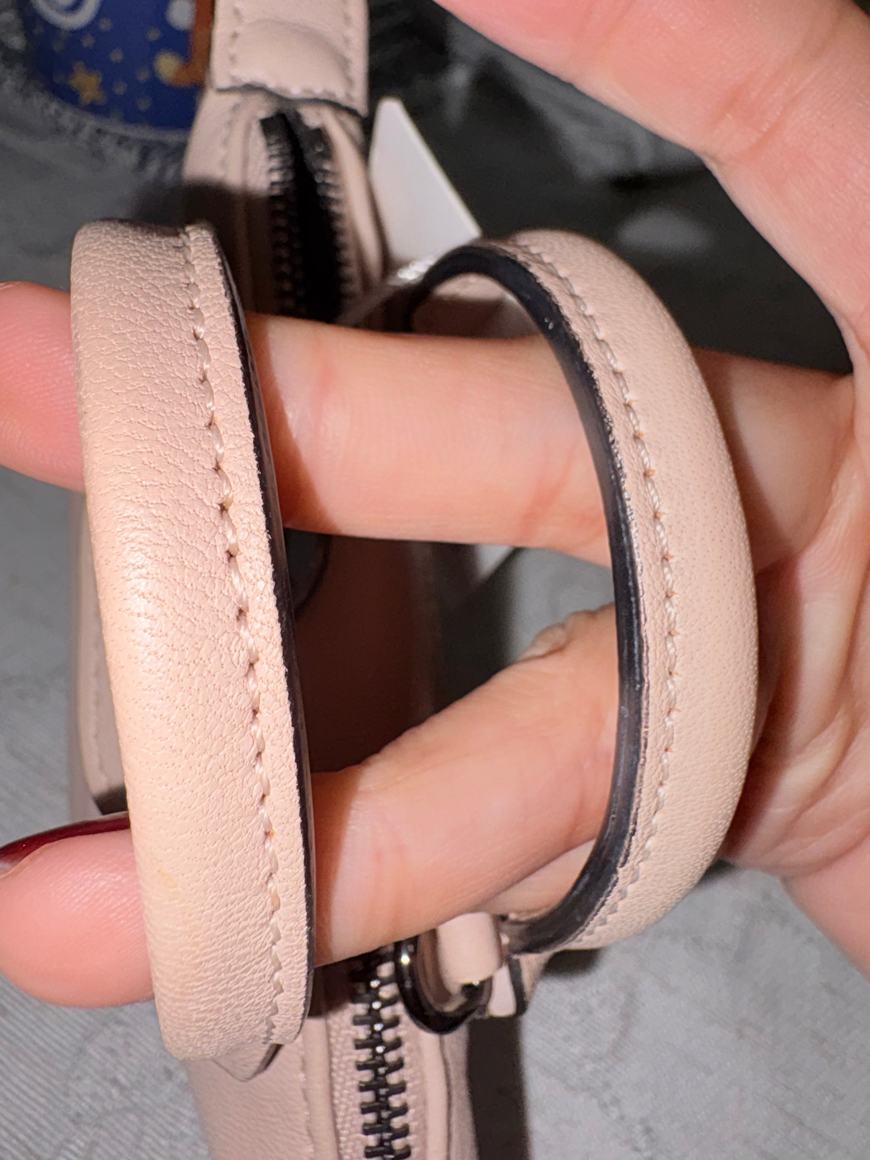 Longchamp Nano Crossbody Bag