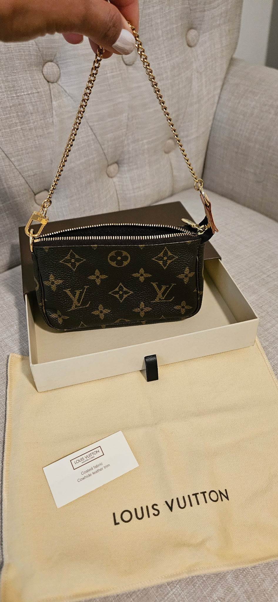 Louis Vuitton Mini Pochette Accessoires Monogram Canvas Gold Chain Pouch