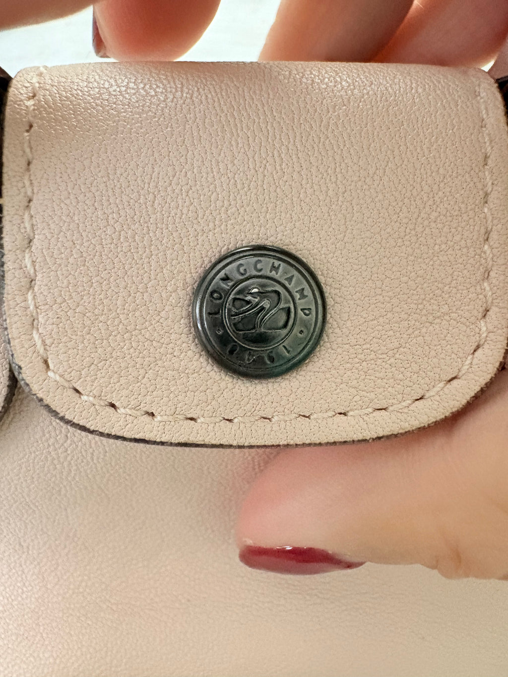 Longchamp Nano Crossbody Bag